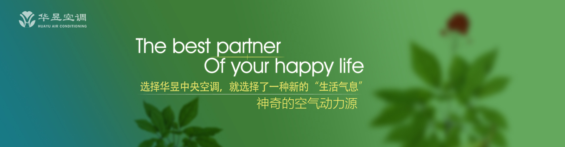 小户人家网
